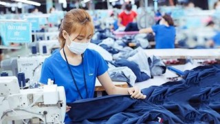 Tổng hợp, phân tích và cung cấp thông tin về tình hình xuất khẩu dệt may của Việt Nam với thị trường CPTPP tháng 9/2026