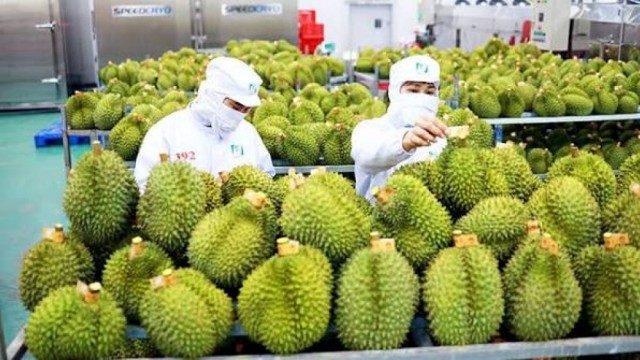 Xuất khẩu rau quả Việt Nam cần đẩy mạnh đa dạng hóa thị trường