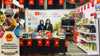 Cà phê Việt Nam có thêm cơ hội tại thị trường Hy Lạp