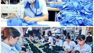 Tổ chức Hội nghị thúc đẩy phát triển ngành dệt may, da giầy