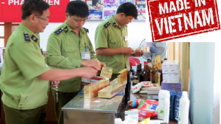 Tăng cường chống gian lận xuất xứ, chuyển tải hàng hóa bất hợp pháp