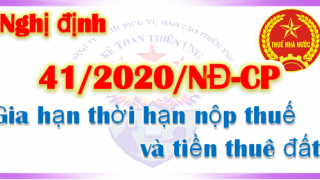 Gia hạn thời hạn nộp thuế và tiền thuê đất