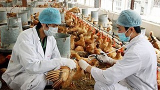 Thủ tướng yêu cầu không để dịch chồng dịch