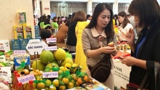 Hiệu quả tích cực từ Kết nối cung cầu hàng hóa