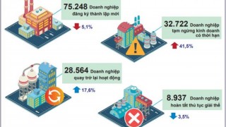 7 tháng, số doanh nghiệp quay trở lại hoạt động tăng 17,6%