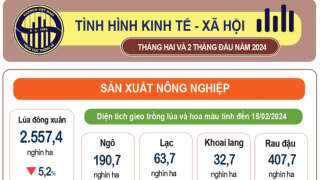 Tình hình kinh tế – xã hội tháng 02 năm 2024