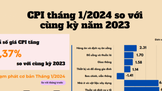 CPI tháng 1/2024 so với cùng kỳ năm 2023