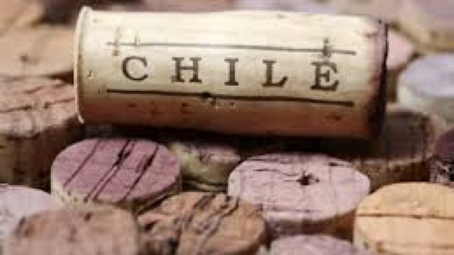 Hoạt động thương mại giữa Việt Nam với thị trường Chile trong tháng 12/2024