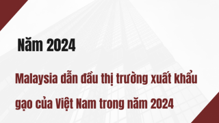 Năm 2024: Malaysia dẫn đầu thị trường xuất khẩu gạo của Việt Nam trong năm 2024