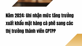 Năm 2024: Ghi nhận mức tăng trưởng xuất khẩu mặt hàng cà phê sang các thị trường thành viên CPTPP