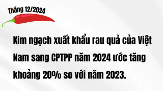 Kim ngạch xuất khẩu rau quả của Việt Nam sang CPTPP năm 2024 ước tăng khoảng 20% so với năm 2023