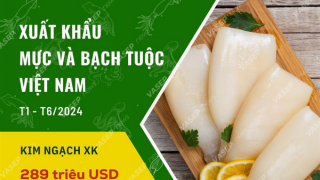 Xuất khẩu mực và bạch tuộc của Việt Nam 6 tháng đầu năm 2024