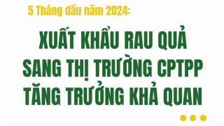 Xuất khẩu rau quả sang thị trường CPTPP tăng trưởng khả quan