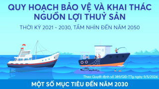 Quy hoạch bảo vệ và khai thác nguồn lợi thủy sản