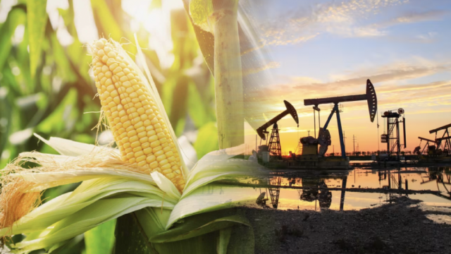 Chỉ số giá hàng hóa MXV-Index đứt chuỗi phục hồi