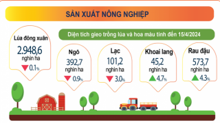 BÁO CÁO: Tình hình kinh tế – xã hội tháng Tư và 4 tháng đầu năm 2024