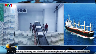 Việt Nam thu gần 1,4 tỷ USD từ xuất khẩu gạo