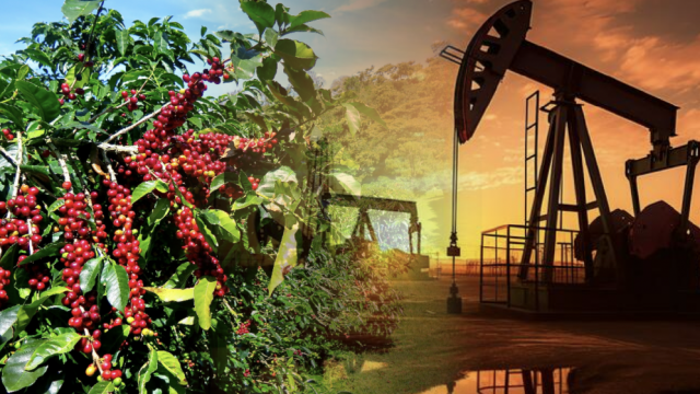 Chỉ số hàng hoá MXV-Index trở lại vùng đỉnh 7 tháng