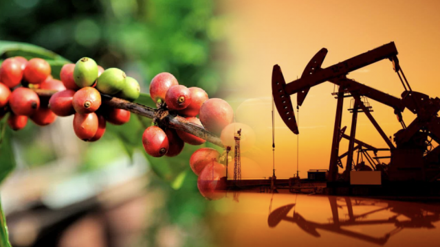 Năng lượng dẫn dắt xu hướng thị trường hàng hóa