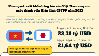 Kim ngạch xuất khẩu hàng hóa của Việt Nam sang các nước thành viên Hiệp định CPTPP năm 2023