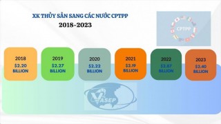 CPTPP sau 5 năm: Góc nhìn từ ngành thuỷ sản