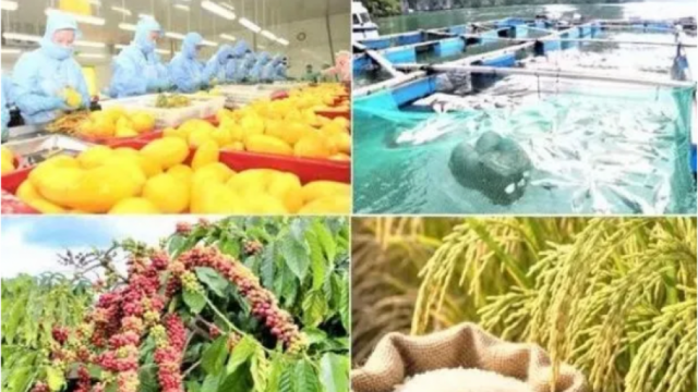 Xuất khẩu nông, lâm, thủy sản hướng tới mốc 74,2 tỷ USD