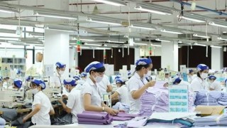 Đánh giá tình hình xuất khẩu hàng dệt may của Việt Nam sang thị trường UAE, dung lượng và quy định thị trường nhập khẩu UAE tháng 8/2026 và triển vọng xuất khẩu của Việt Nam