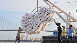 Đánh giá tình hình xuất khẩu mặt hàng gạo của Việt Nam sang thị trường UAE, dung lượng và quy định thị trường nhập khẩu UAE tháng 8/2026 và triển vọng xuất khẩu của Việt Nam