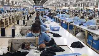 Tổng hợp, phân tích và cung cấp thông tin về tình hình xuất khẩu dệt may của Việt Nam với thị trường CPTPP tháng 8/2026