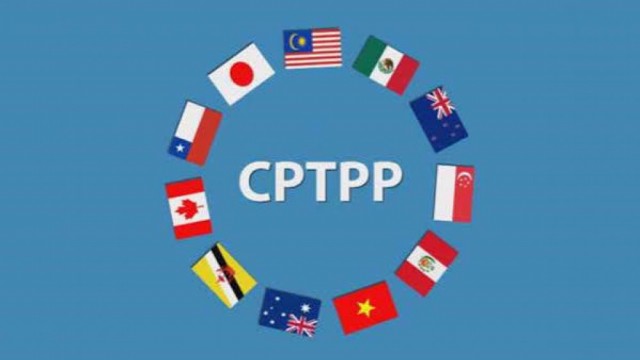 Tổng hợp, đánh giá và phân tích thông tin tổng quan về tình hình hợp tác, giao thương của Việt Nam với thị trường CPTPP tháng 8/2026