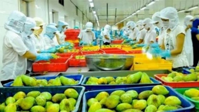 Tổng hợp, phân tích, đánh giá thực thi hiệp định VIFTA trong hoạt động xuất, nhập khẩu rau quả với thị trường I-XRA-EN
