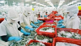 Tổng hợp, phân tích, đánh giá tình hình thực thi hiệp định VIFTA trong hoạt động xuất khẩu thủy sản giữa Việt Nam với thị trường I-XRA-EN tháng 8/2026