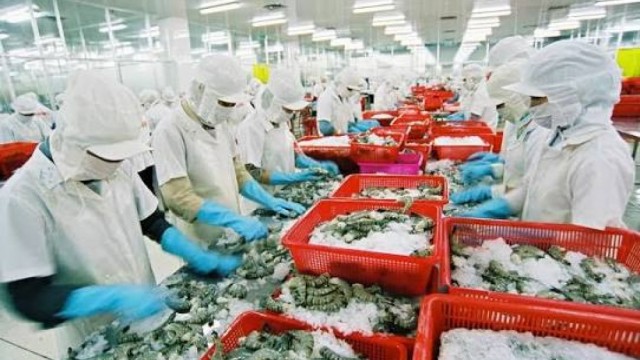Tổng hợp, phân tích, đánh giá tình hình thực thi hiệp định VIFTA trong hoạt động xuất khẩu thủy sản giữa Việt Nam với thị trường I-XRA-EN tháng 8/2026