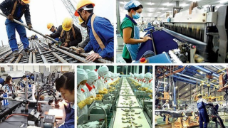 Chính phủ "tháo gỡ đến cùng" để doanh nghiệp tự mình đi tới