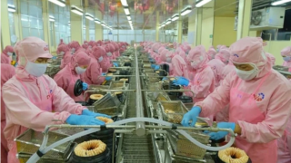 Xuất khẩu thủy sản 8 tháng đạt 7,94 tỷ USD 