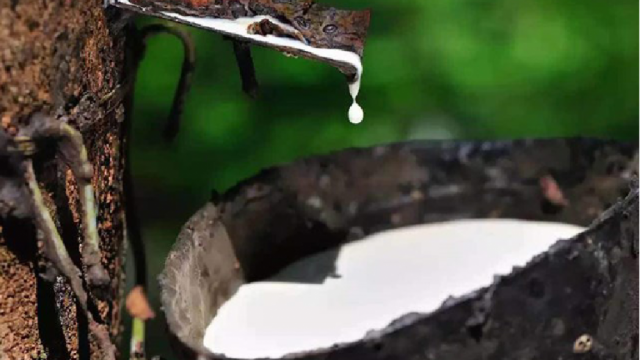 Bản tin Thị trường nông, lâm, thủy sản số ra ngày 27/2/2026