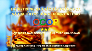 OCOP Quảng Nam - Và hành trình “Đưa viên ngọc quý ra khỏi rừng”