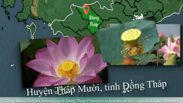 Tinh tuý sen Việt và hành trình OCOP Việt Nam