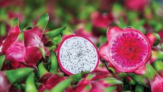 Bản tin Thị trường nông, lâm, thủy sản số ra ngày 29/5/2026