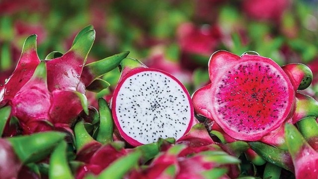 Bản tin Thị trường nông, lâm, thủy sản số ra ngày 29/5/2026