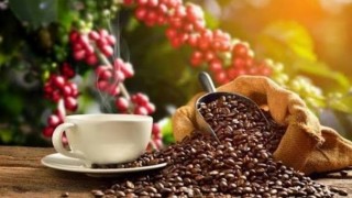 Bản tin Thị trường nông, lâm, thủy sản số ra ngày 31/7/2026
