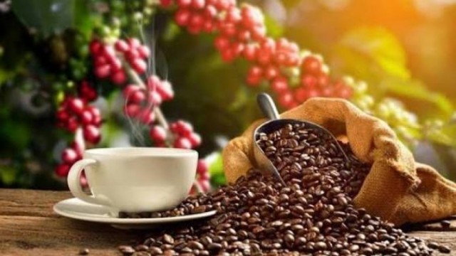 Bản tin Thị trường nông, lâm, thủy sản số ra ngày 31/7/2026