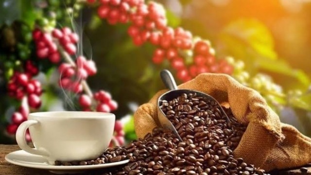 Tổng hợp, phân tích, đánh giá hình thực thi hiệp định vifta trong hoạt động  xuất khẩu mặt hàng cà phê của Việt Nam với thị trường I-XRA-EN