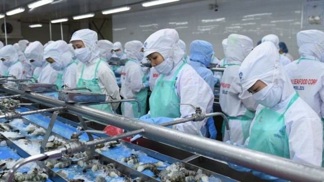 Tổng hợp, phân tích và cung cấp thông tin về hoạt động thương mại giữa Việt Nam với thị trường BRUNEI tháng 7/2026, đánh giá triển vọng và dự báo