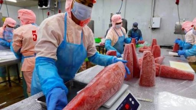Tổng hợp, phân tích và cung cấp thông tin về tình hình xuất khẩu thủy sản của Việt Nam với thị trường CPTPP tháng 7/2026