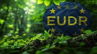Cập nhật Quy định Chống phá rừng (EUDR) của Uỷ ban châu Âu EC
