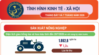 Tình hình kinh tế – xã hội tháng Bảy và 7 tháng năm 2026