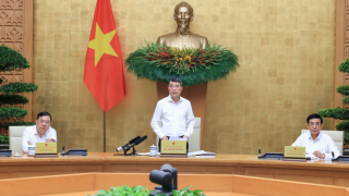 Phiên họp Chính phủ thường kỳ tháng 7: Xuất nhập khẩu ước đạt 659,6 tỷ USD, tăng 28,1%
