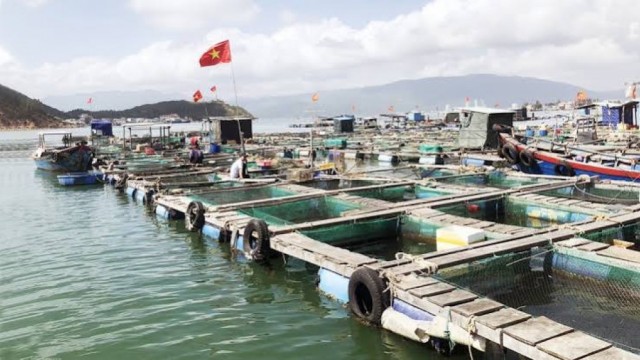 Thủy sản Việt Nam sáu tháng đầu năm 2026: Nuôi trồng tiếp tục là động lực tăng trưởng, xuất khẩu ghi nhận tín hiệu khả quan