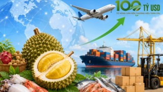 Xuất khẩu nông lâm thủy sản từ 70 đến 100 tỷ USD: Cần những bước đột phá mới